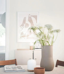 Tender-Plain-Color-Wallpaper