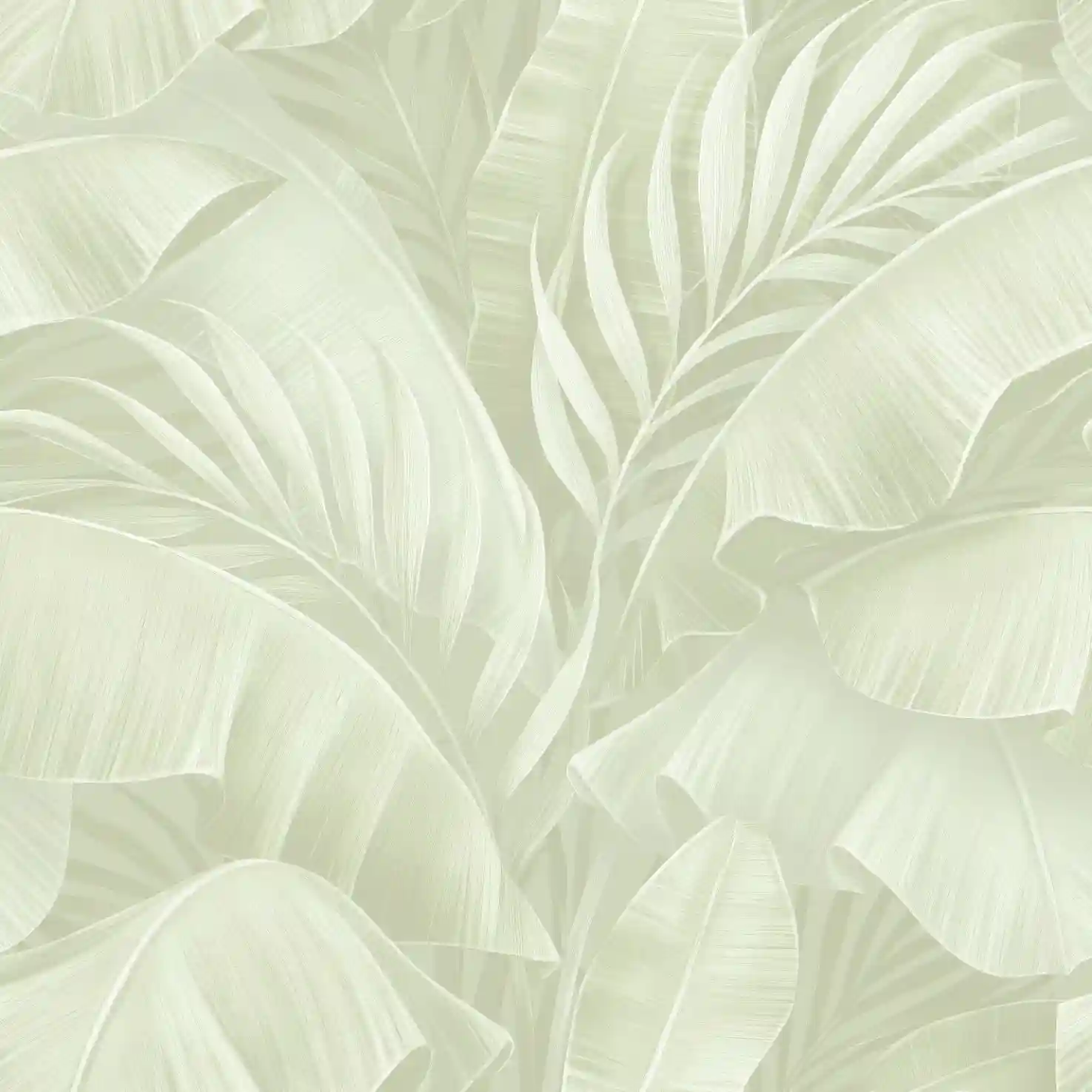 plante-1