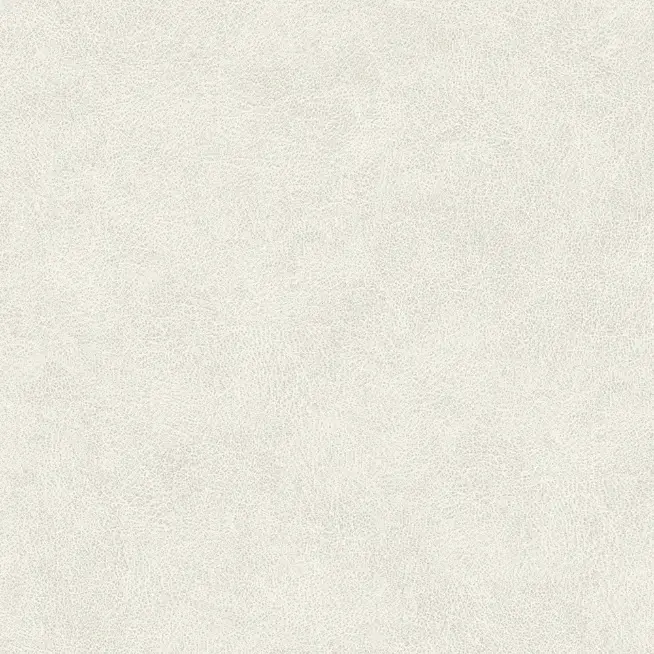 DWD