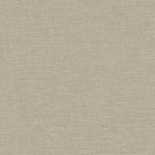roy-11