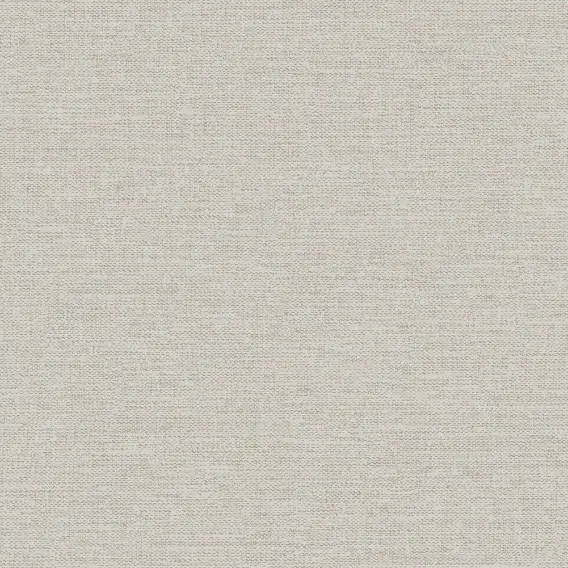 roy-4