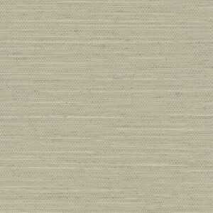 Modern beige textured wallpaper for office or bedroom.