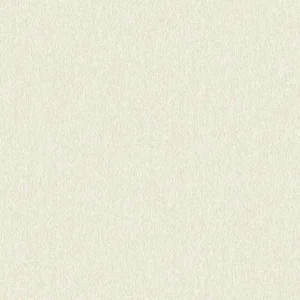 Luxury beige textured wallpaper for bedroom or office.