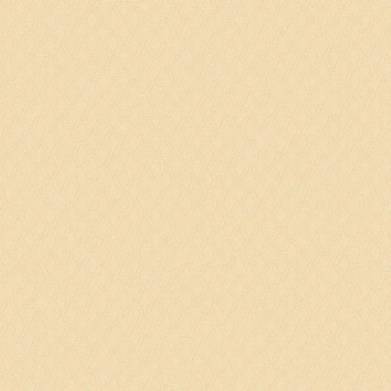 bon-3